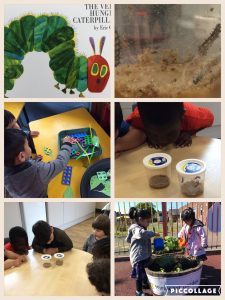 This week in nursery 1 we have been looking at the book, The Very Hungry Caterpillar.